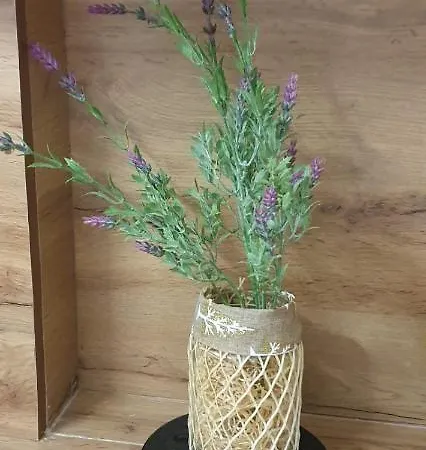 Appartement Erli's *