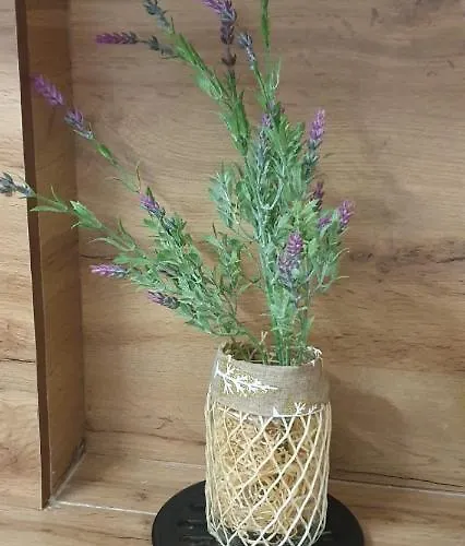 アパート Erli's *